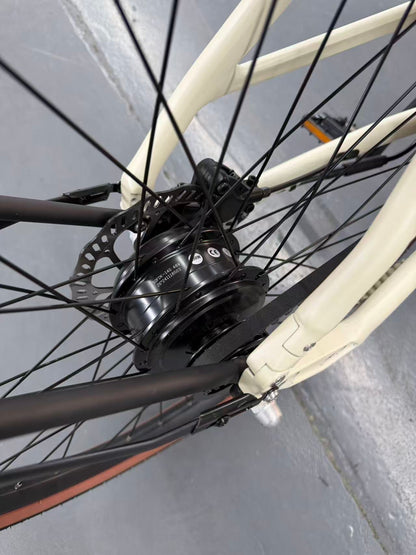 Safeway EC710/EC700 城市电助力单车