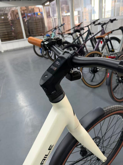 Safeway EC710/EC700 城市电助力单车